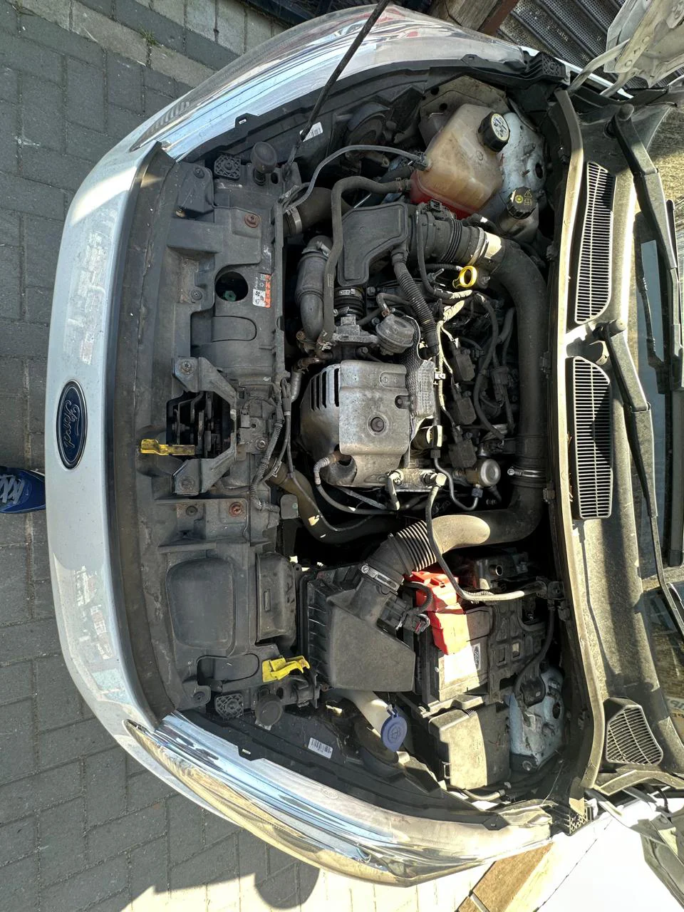 Engine Coolant Refill
