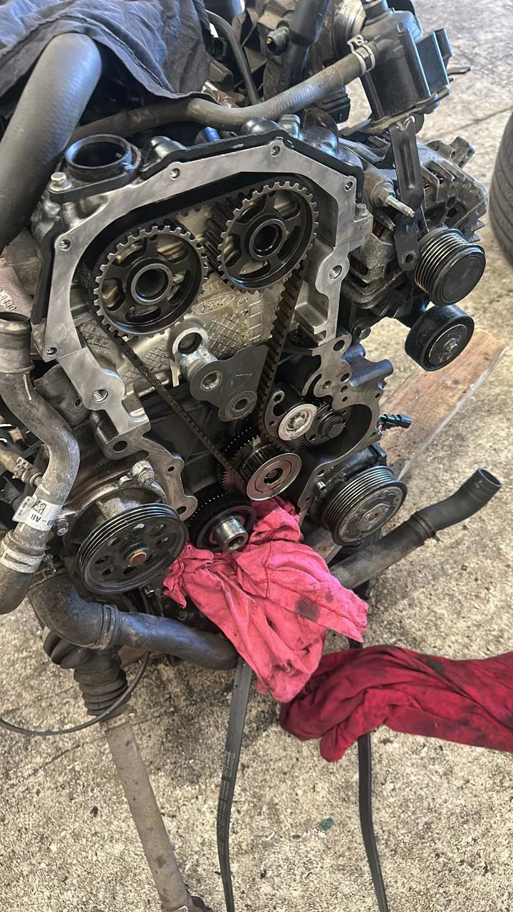 Timing Belt Replacement