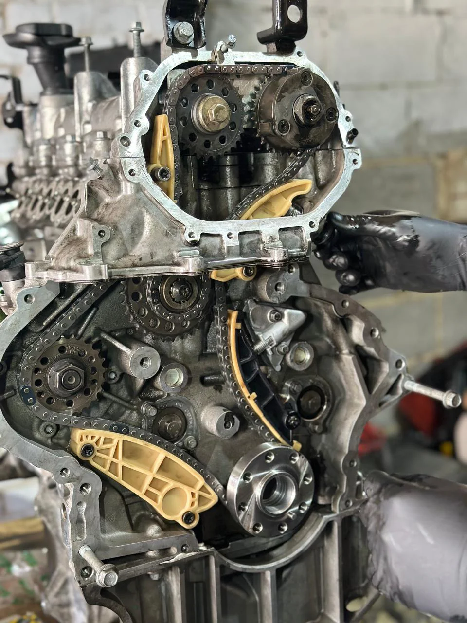 Timing Belt Replacement